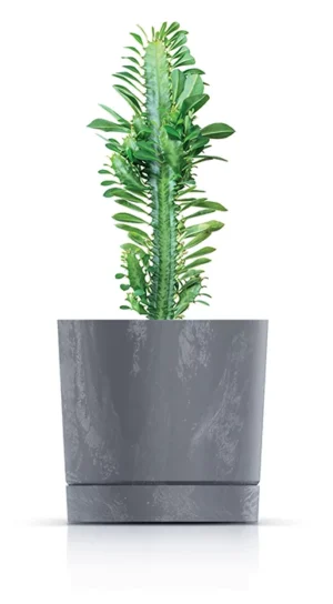 TEGLA TUBO BETON EFFECT DPOP_E