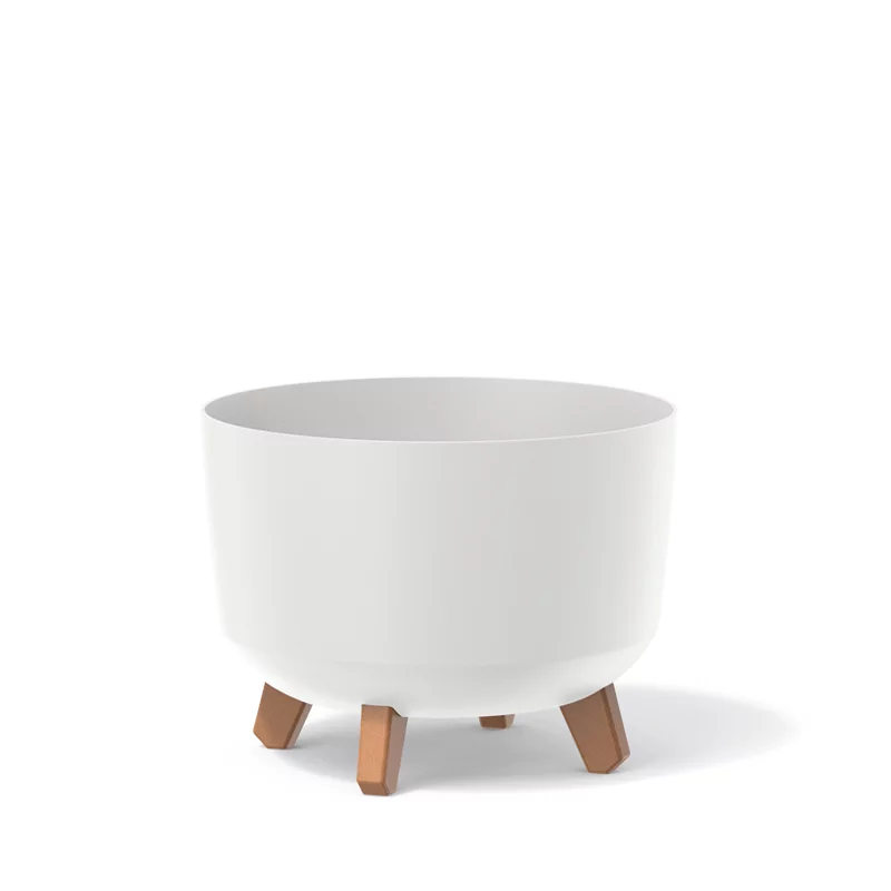 Gracia_Standard_DGRL300_S449_01