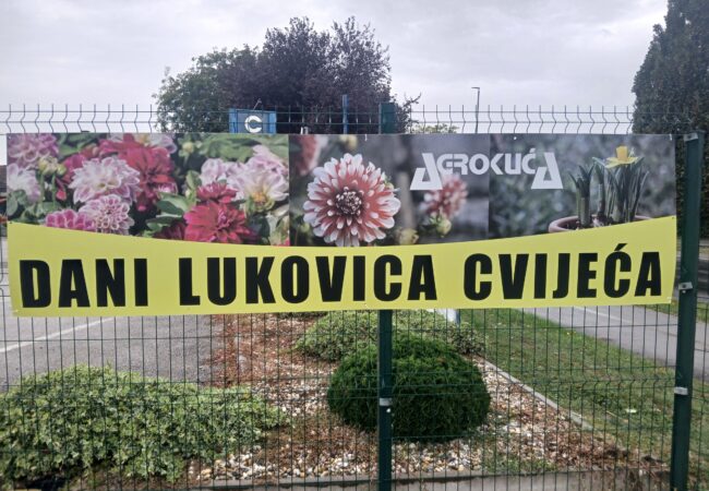 DANI LUKOVICA CVIJEĆA