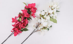 BUGENVILEA GRANA 79cm