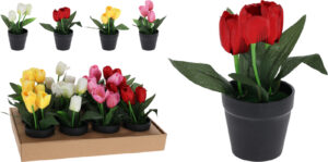 CVIJEĆE UMJ. CRNA TEGLA