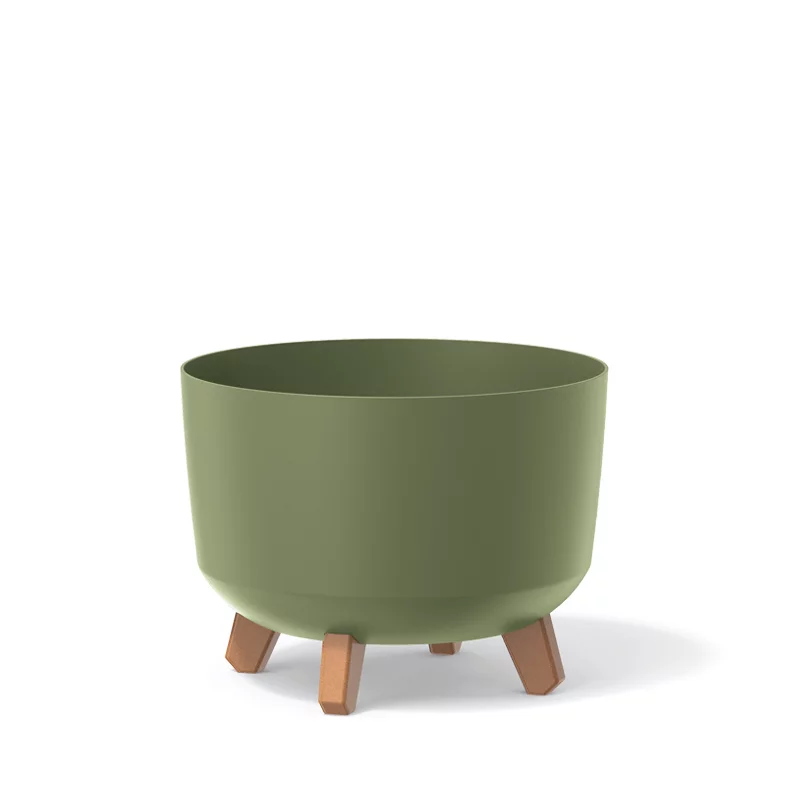 Gracia_Standard_DGRL300_5615C_01